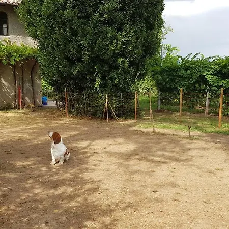 Alle Zagare 4* Refrontolo