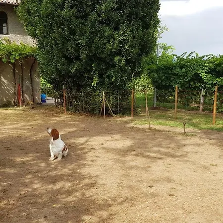 Alle Zagare * Refrontolo